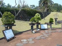 P1030441