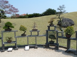 P1030450