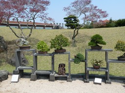 P1030451