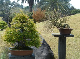 P1030454
