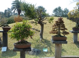 P1030455
