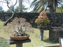 P1030456
