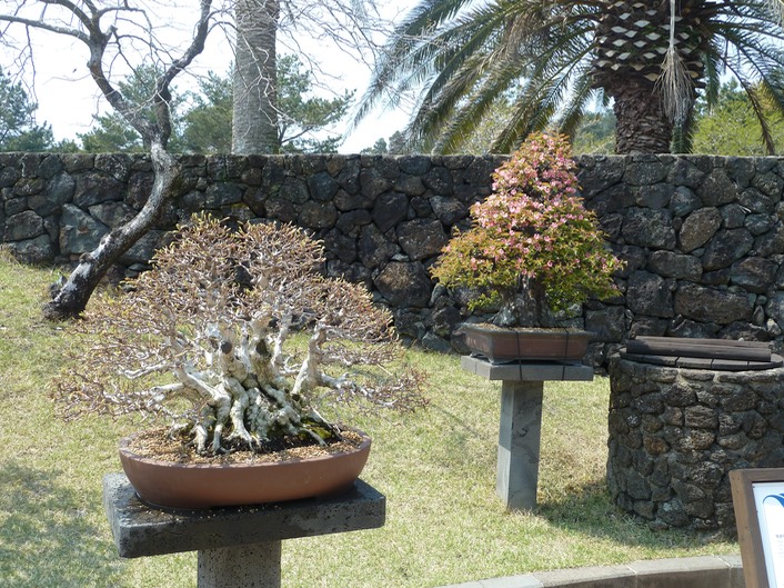 P1030456