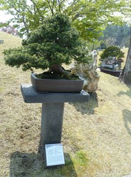 P1030457