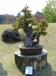 P1030459