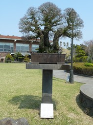P1030460