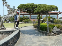 P1030461