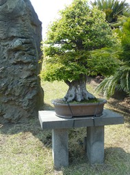 P1030462