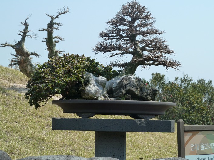 P1030464