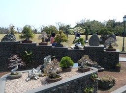 P1030466