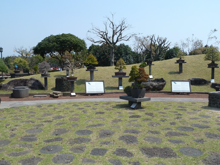 P1030471