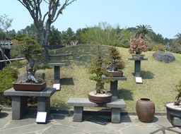 P1030472