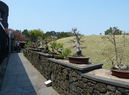 P1030474