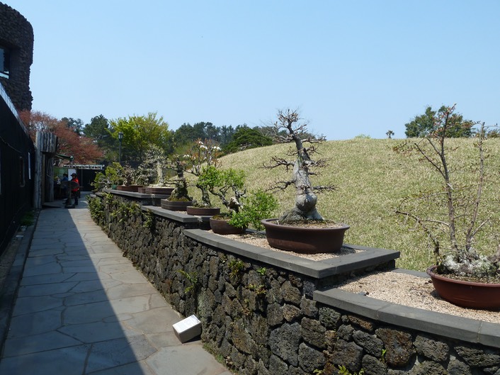 P1030474