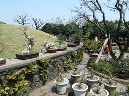P1030475