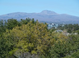 P1030497