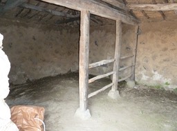 P1030537
