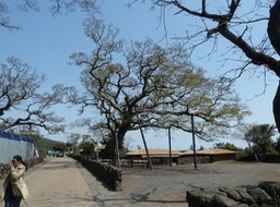 P1030548
