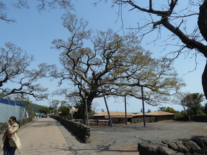 P1030548