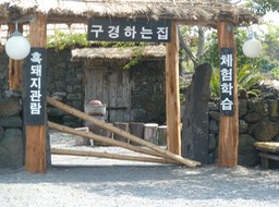 P1030550