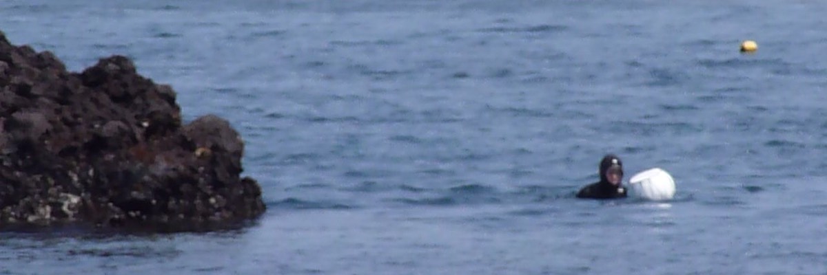 P1030568