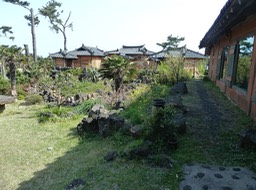 P1030577