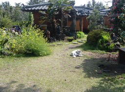 P1030582