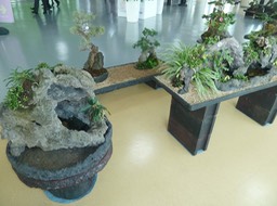 P1030590