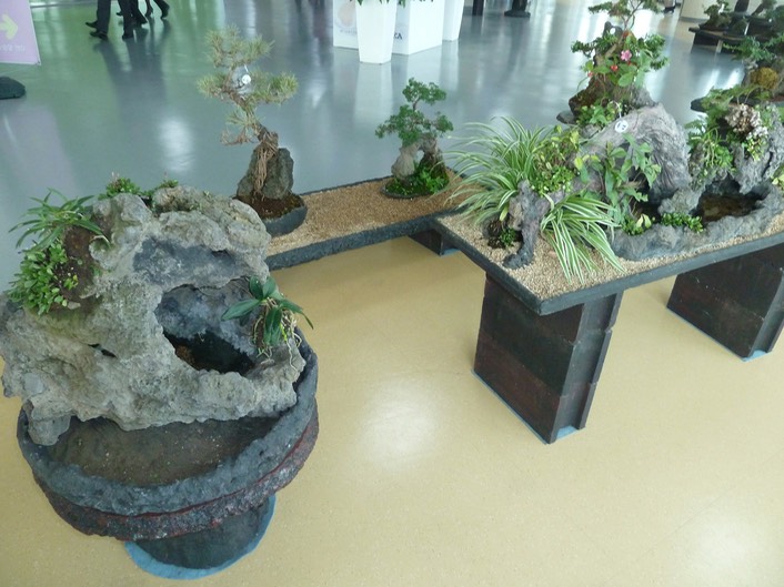 P1030590