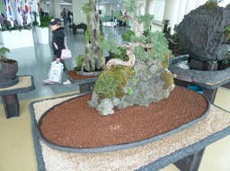 P1030592