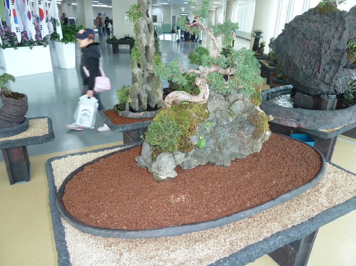 P1030592