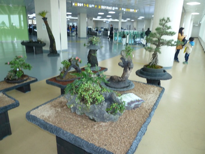 P1030594