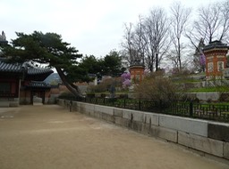 P1030620