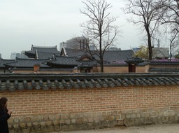 P1030623