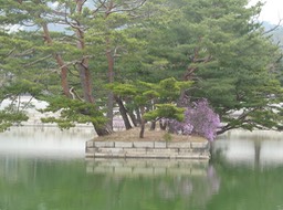 P1030629