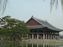 P1030631