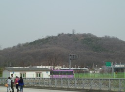 P1030651