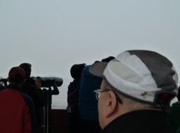 P1030654