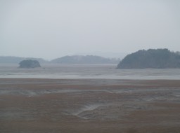 P1030687