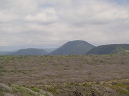 P1030783