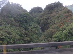 P1030823