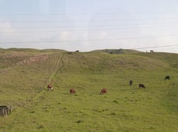 P1030832