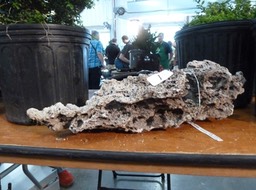 p1030862_med