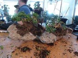 p1030869_med