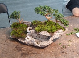 p1030873_med