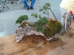 p1030875_med