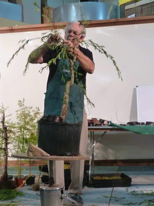 p1030886_med