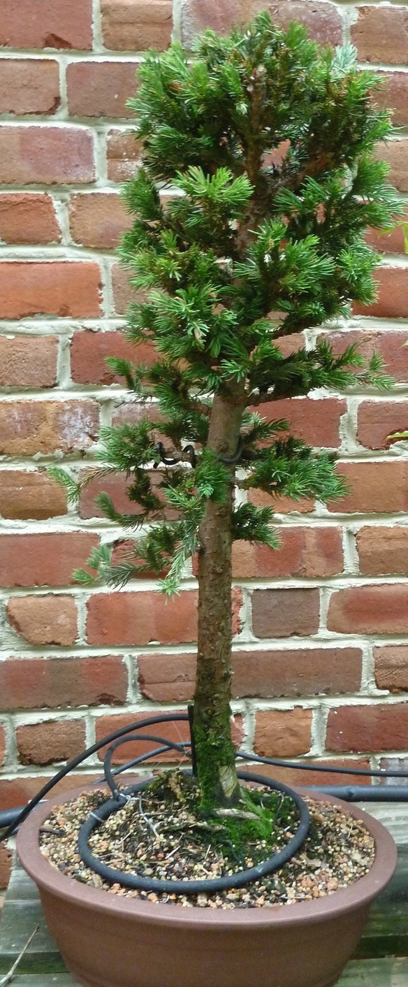 P1030915