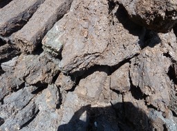 P1040161