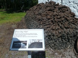 P1040165